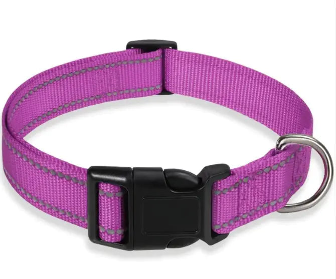 Halsband für Hunde verstellbar