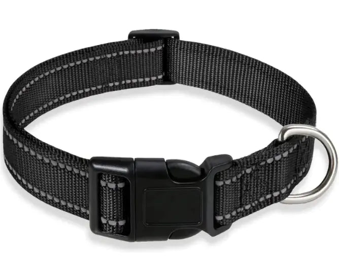 Halsband für Hunde verstellbar