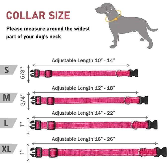 Halsband für Hunde verstellbar
