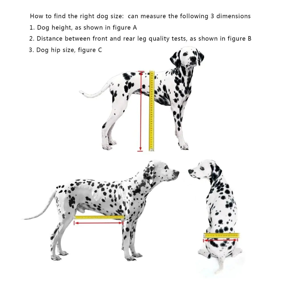 Dog Wheelchair for Rear Leg Paralysis - Pet Support