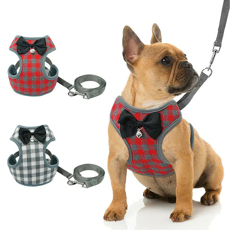 Hundeleine mit kariertem Bowtie-Hasen für Haustiere