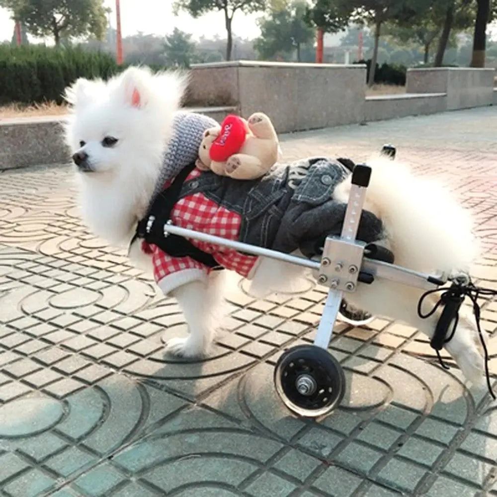 Dog Wheelchair for Rear Leg Paralysis - Pet Support