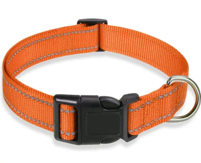 Halsband für Hunde verstellbar