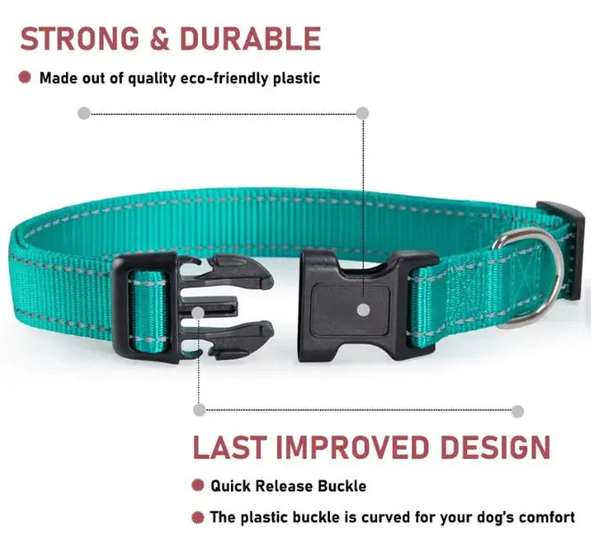 Halsband für Hunde verstellbar