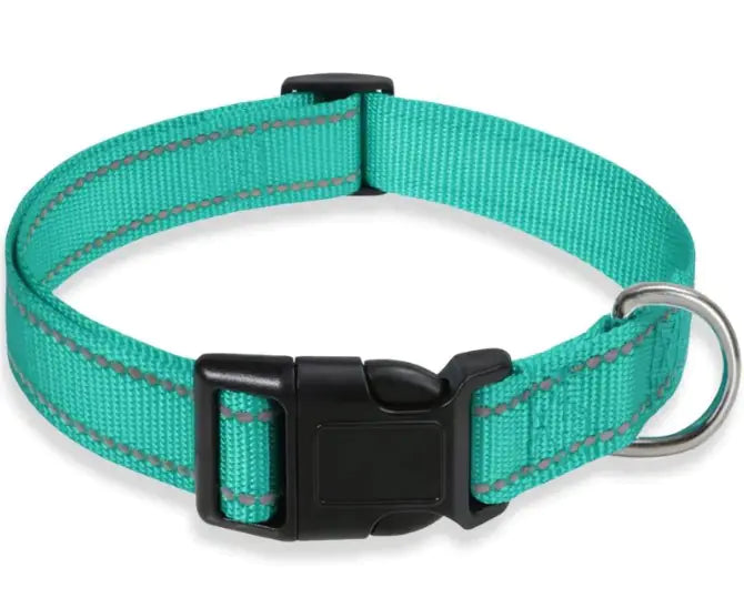 Halsband für Hunde verstellbar