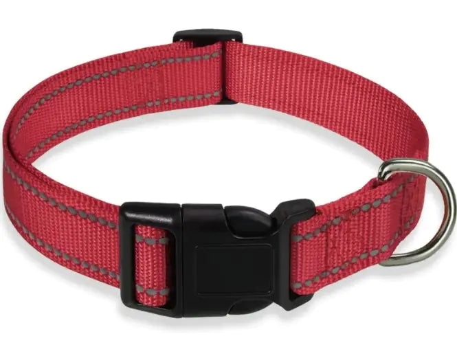 Halsband für Hunde verstellbar