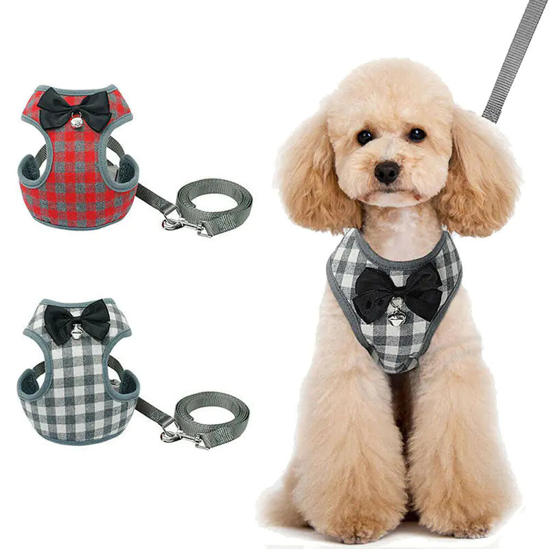 Hundeleine mit kariertem Bowtie-Hasen für Haustiere