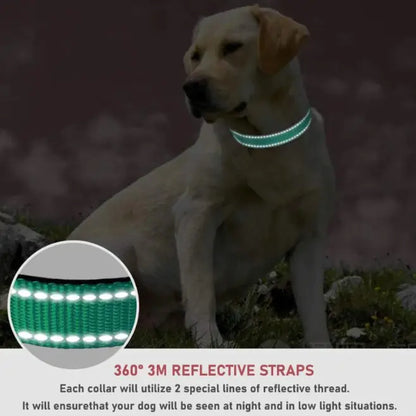 Halsband für Hunde verstellbar