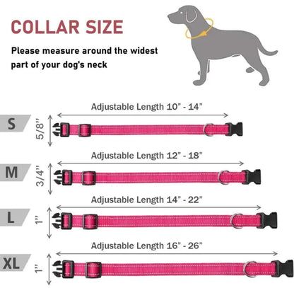 Halsband für Hunde verstellbar
