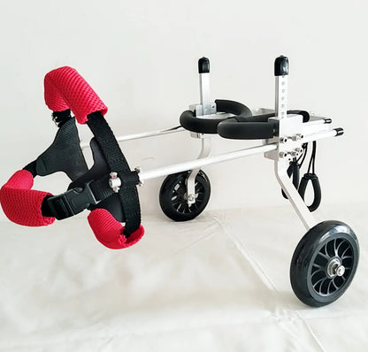 Dog Wheelchair for Rear Leg Paralysis - Pet Support