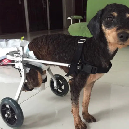 Dog Wheelchair for Rear Leg Paralysis - Pet Support