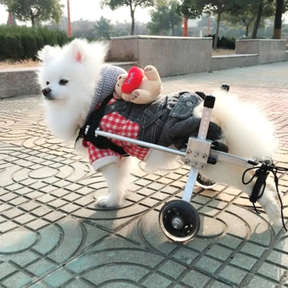 Dog Wheelchair for Rear Leg Paralysis - Pet Support