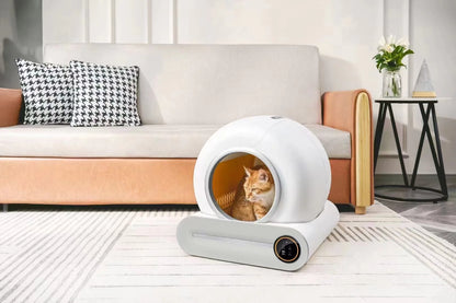 Smart Automatic Katzenklo