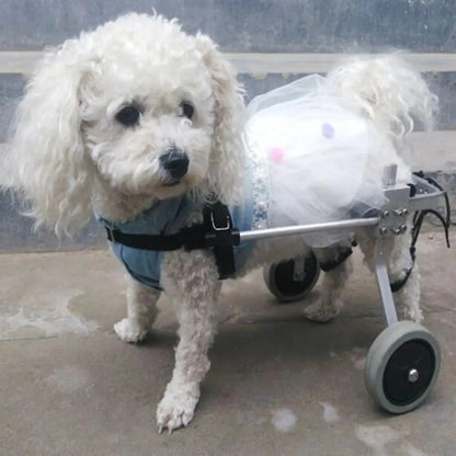 Dog Wheelchair for Rear Leg Paralysis - Pet Support